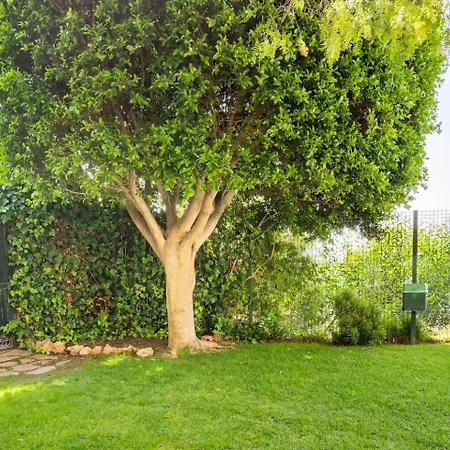 Puerto Andra Apartment